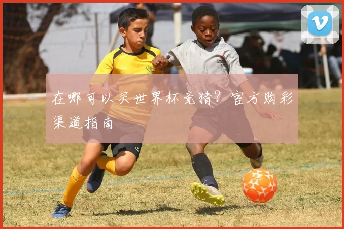 在哪可以买世界杯竞猜？官方购彩渠道指南