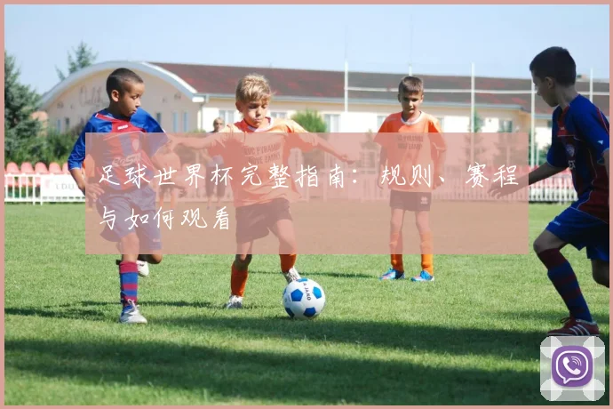 足球世界杯完整指南：规则、赛程与如何观看