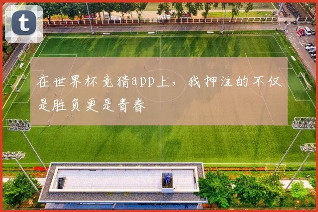 在世界杯竞猜app上，我押注的不仅是胜负更是青春